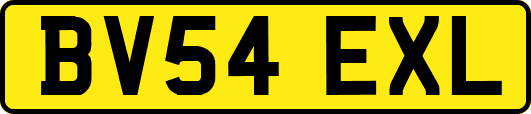 BV54EXL