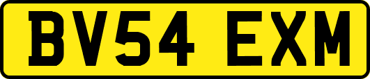 BV54EXM