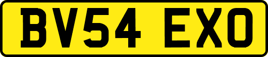 BV54EXO