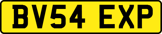 BV54EXP