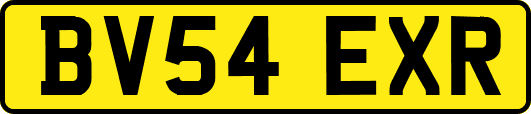 BV54EXR