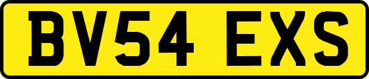 BV54EXS