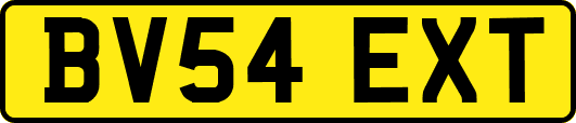 BV54EXT