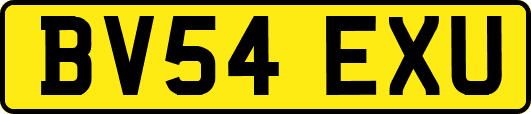 BV54EXU