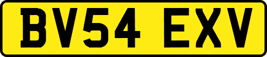 BV54EXV