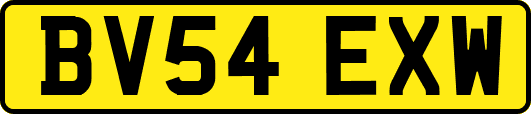 BV54EXW