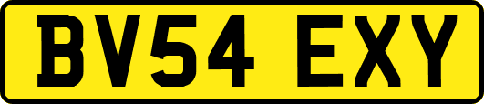 BV54EXY