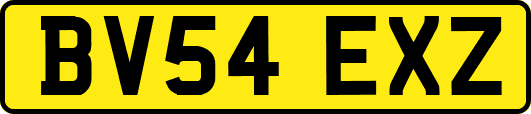 BV54EXZ