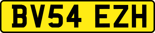 BV54EZH