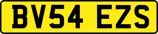 BV54EZS