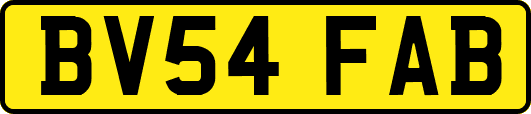 BV54FAB