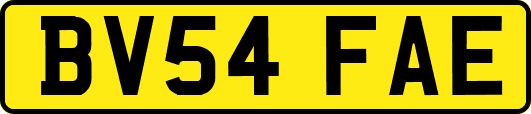 BV54FAE