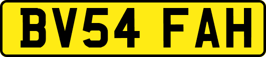 BV54FAH