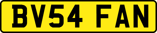 BV54FAN