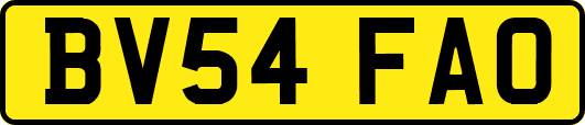 BV54FAO