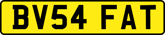 BV54FAT