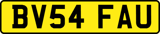 BV54FAU