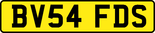 BV54FDS