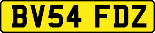 BV54FDZ