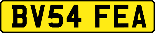 BV54FEA