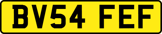 BV54FEF