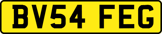 BV54FEG