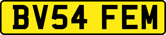 BV54FEM