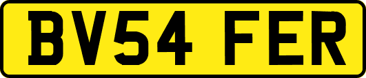 BV54FER