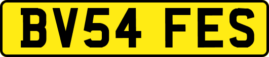 BV54FES