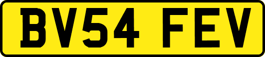 BV54FEV