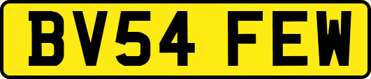 BV54FEW