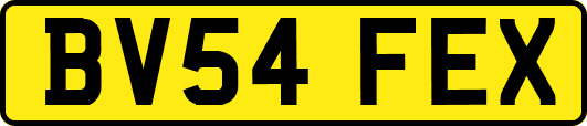 BV54FEX