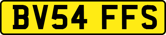 BV54FFS