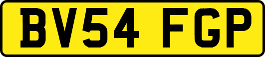BV54FGP