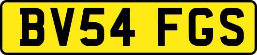 BV54FGS