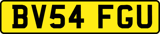BV54FGU