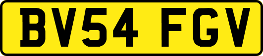 BV54FGV
