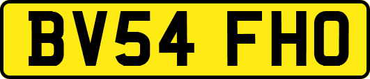 BV54FHO