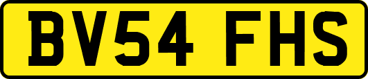 BV54FHS