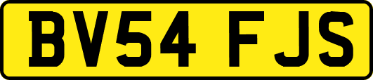 BV54FJS