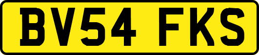 BV54FKS