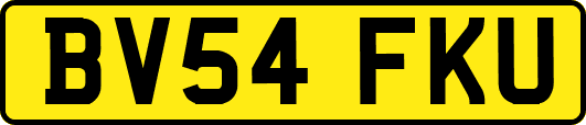 BV54FKU