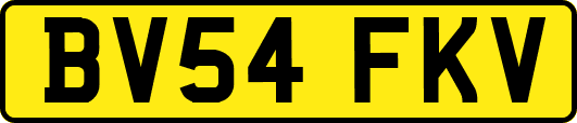 BV54FKV