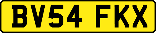 BV54FKX