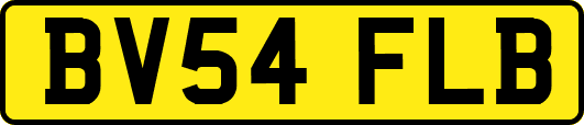 BV54FLB