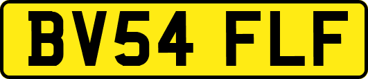BV54FLF