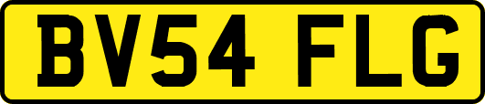 BV54FLG