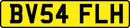 BV54FLH