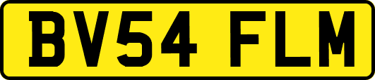 BV54FLM