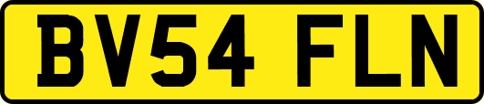 BV54FLN